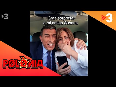 Luisvi primàries - Polònia