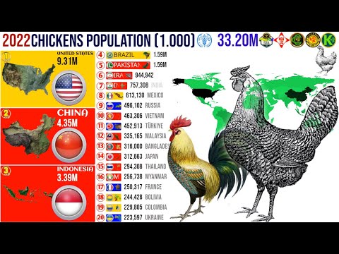 , title : 'Top World's Chicken Population by Country 🐓'