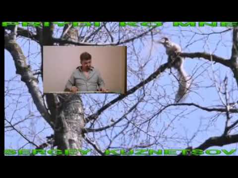 "Priydi ko Mne"Прийди ко Мне! Сергей Кузнецов:27.03.21(11:41)