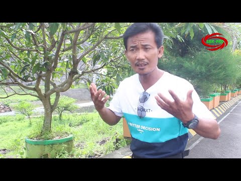 LUPAKAN CINTA KITA - IPOENG PW [ FULL HD ]