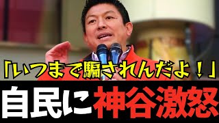 【参政党】いい加減気付いてくれよ！自民党､維新政治のおかしさを！【神谷宗幣】#参政党 #神谷宗幣#神谷#消費税＃消費税減税