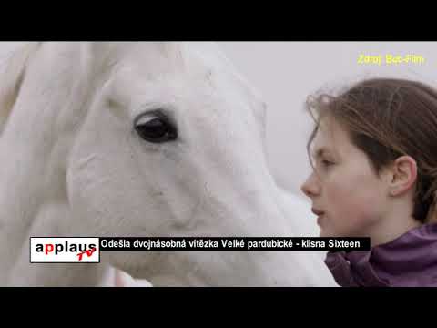 Odešla dvojnásobná vítězka Velké pardubické - klisna Sixteen