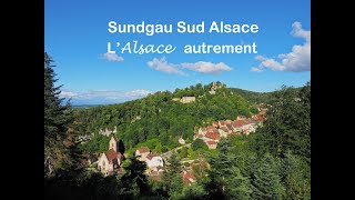 Camping les Lupins - Camping Haut-Rhin - Image N°2