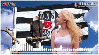 Hep Kol Kola Bir Gün Değil Her Gün Beşiktaş