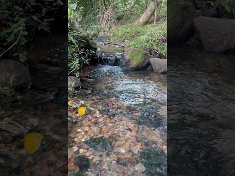 Arroyito en Cerro Verá, Acahay - Paraguari, Paraguay