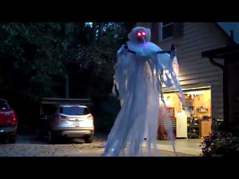 Esse cara é um gênio 