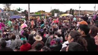 preview picture of video 'Almoloya Hidalgo - Los Huehues'