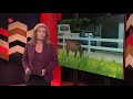 Veel onzekerheid voor boeren die moeten wijken voor datacenter (Live Dit is Flevoland 17.00 uur)