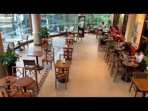 Các mẹo bố trí chậu cây xanh trang trí trong nhà hàng cafe một cách khoa học