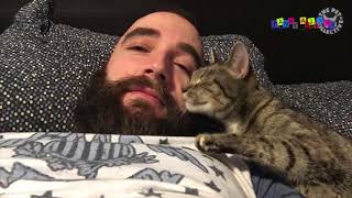 Приколы с котанами Ласковые кошки