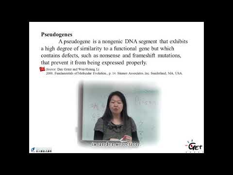 分子演化 Molecular Evolution CH 2. GENES, GENETIC CODES, AND MUTATION - Part3 / CHAU-TI TING