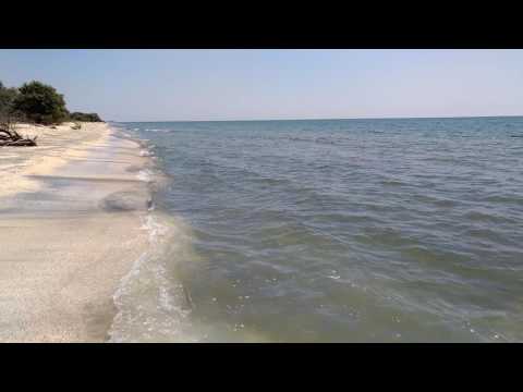 Plaja salbatica de la Perisor, Delta Dunarii