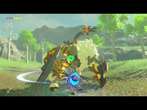 Damageless Gold Lynel Fight (No Champion Abilities)