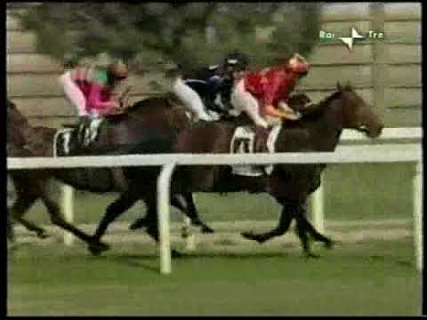 DERBY ITALIANO DEL GALOPPO 2009 MASTERY