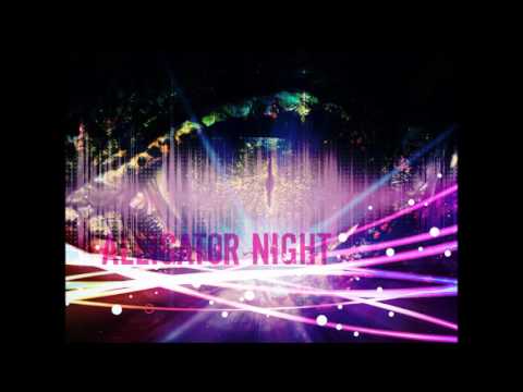 DJ JANEBSS   Alligator Night