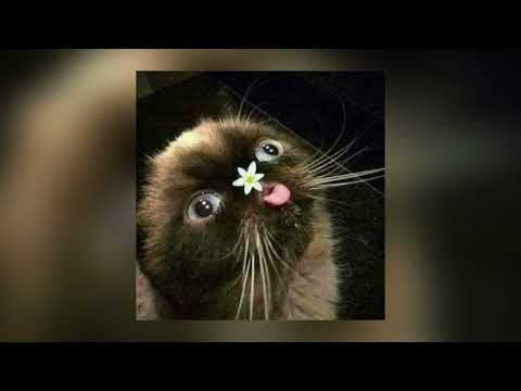 Eyez Hate U - YKWIW... [SLOWED]