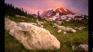 Hágase tu voluntad 2