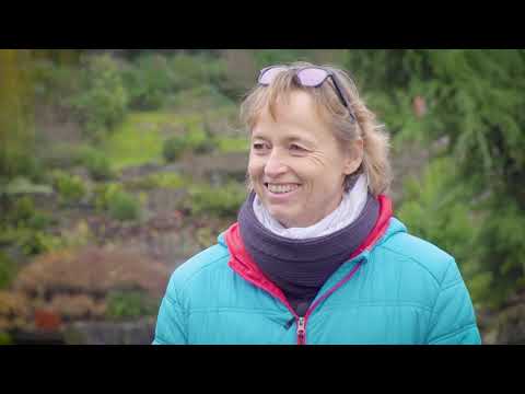 CASHMERE  - UNSERE VERERBER 2021