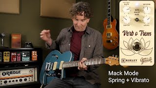 Video thumbnail for Keeley -  Eddie Heinzelman Verb o Trem Pedal Workstation by AndyDemos