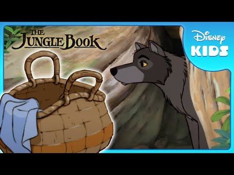 🐺 Mowgli Joins the Wolf Pack! | Jungle Book | Disney Kids