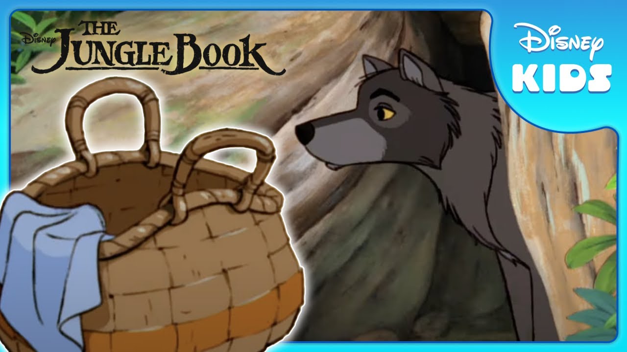 🐺 Mowgli Joins the Wolf Pack! | Jungle Book | Disney Kids