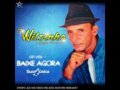 WILSINHO O GOGÓ DE OURO-VOL 1