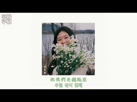 【正體韓中字】辛知勳 신지훈 - 一年蓬 계란꽃(直譯：雞蛋花)  [Jess/哎亞] 請見說明