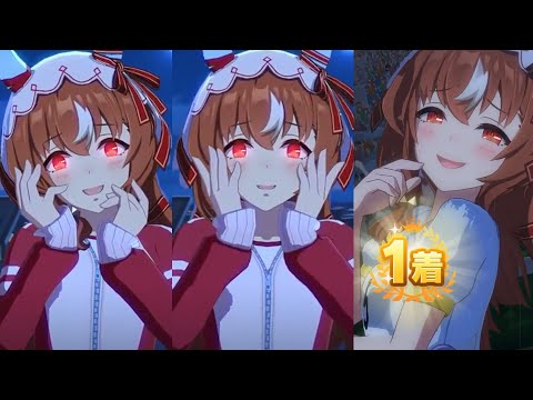 This Yandere Horse Girl is Crazyyy [Still in Love] - Umamusume Pretty derby