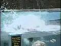 Afv Scares