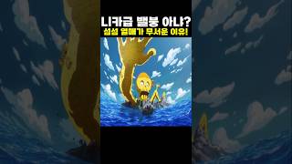 👉니카급 밸붕 섬섬 열매가 무서운 이유! (원피스 최신화)