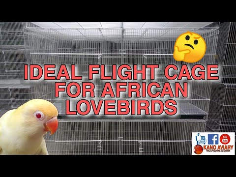IDEAL FLIGHT CAGE FOR AFRICAN LOVEBIRDS