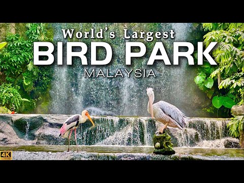 KL Bird Park - World’s Largest Bird Park in Kuala Lumpur Malaysia