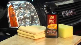 How to remover insects from cars safely - Pinnacle Advanced Insect Remover