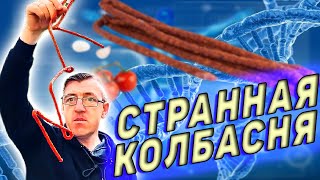 Самая странная тонкая колбаска, длинной в 2 метра, но тонкая, как мизинец. Назвали Кобанос, но такой колбаской сильно не раскормишься. Кабаносом стать можно, если есть ее пачками и коробками, с одной такой нано сосиски сыт не будешь 440