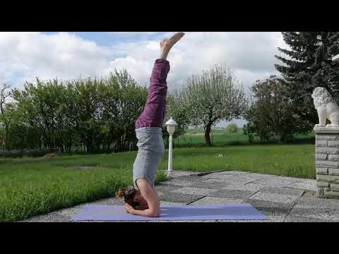 Yoga Kopfstand Variationen mit Katja Wollenweber