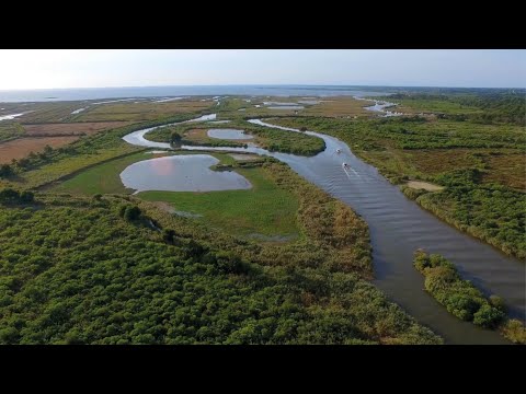 Nos coins secrets sur le Bassin d'Arcachon