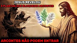 Jesus Revelou 3 Plantas que Bloqueiam Toda Energia Arconte (Tenha-as em Sua Casa)