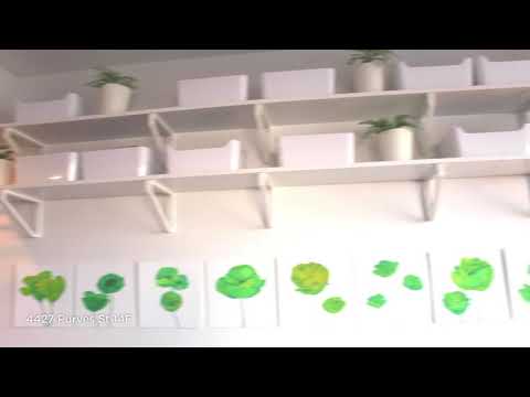 video 1