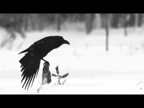 Ryde & Xopi | Izanami