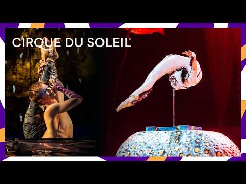 Jaw-Dropping Contortion Highlights | OVO, LUZIA, Le Cirque Réinventé & Alegría | Cirque du Soleil