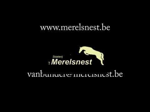 Naila van 't Merelsnest (2021 10 09)