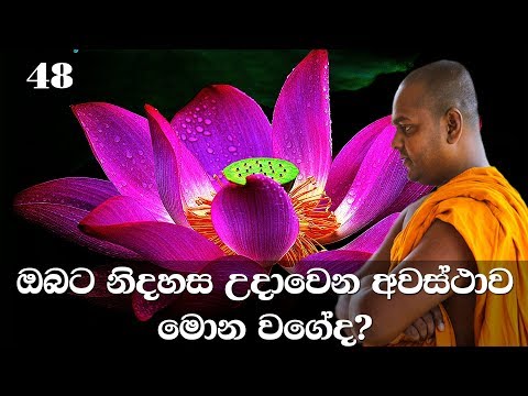 මහා සිංහ නාදය | අභිධර්මය | 48