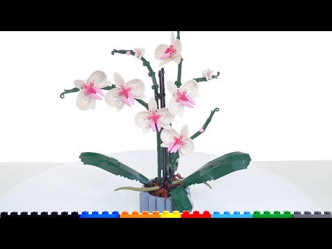 LEGO® Icons Orchidėja (10311) video