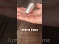 Jumping Beans!! #ideasforkids