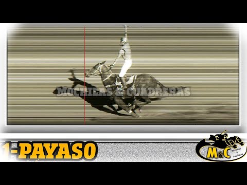 PAYASO - 02-11-25 - VERA Y PINTADO - M&C