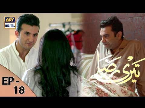 Teri Raza Episode 18 - 2nd November 2017 - ARY Digital Drama
