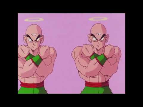 Tenshinhan  Fight Screen Time (DBZ)