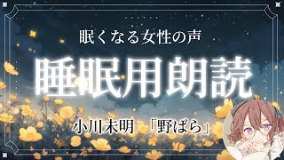 【眠くなる女性の声】聴くだけで癒される睡眠用音声　小川未明「野ばら」【読み聞かせ/朗読/安眠】