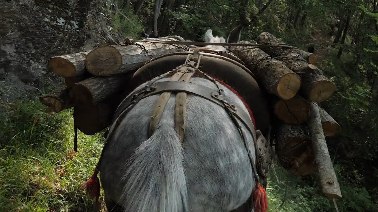 Watch Now Gente di Zeri Gente di Zeri