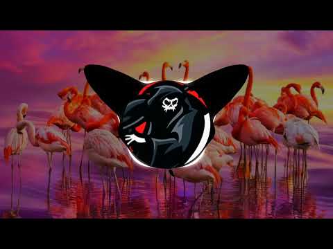 Barry Fest Ft. Tim Schalkx - Ferry De Roze Flamingo (GhostRavager Hardcore Edit)